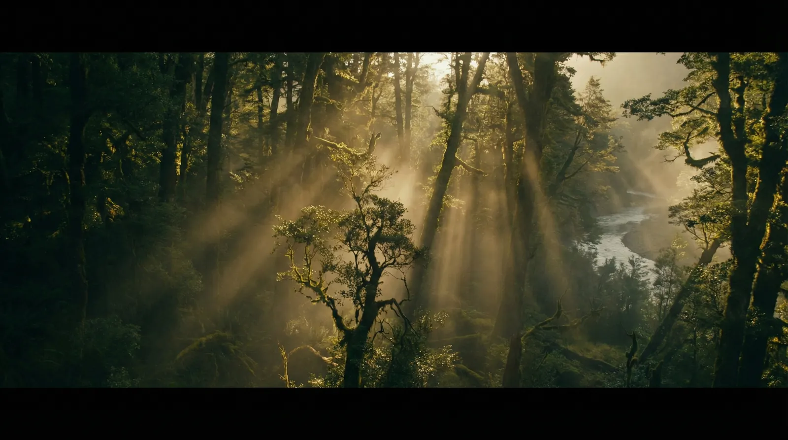 人妻视频 自然纪录片风格调色案例